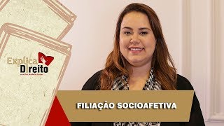 Explica Direito Filiação Socioafetiva  2019 [upl. by Higginson433]