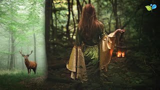 Enchanted Celtic Music  432Hz Nature Music  Magical Forest Sounds [upl. by Ahsikcin]