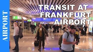 TRANSIT WALK AT FRANKFURT Airport FRA Terminal 1  Connection Flight Transfer Arriving amp Departing [upl. by Asiel]